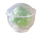 Lettuce Keepertm - 7" X 8". Fixed Price $21.97.