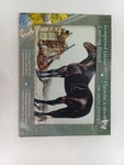 Rivers Edge 12X16 Tempered Glass Cutting Board Horse & Saddle. Fixed Price $19.99.