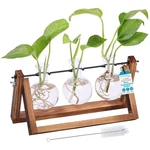 Birdrock Home Plant Propagation Station 3 Bulb Vase With Wooden Stand Terrarium. Fixed Price $33.37.