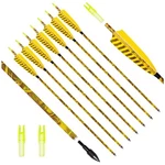 Practice Hunting Arrows With Camo Feather Fletching. Fixed Price $69.29.