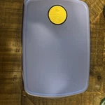 Tupperware Rock Serve Divided Container 3990A-2 Microwave Reheatable Blue. Fixed Price $5.00.