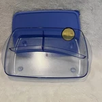 Tupperware Rock Serve Divided Container 3990A-2 Microwave Reheatable Blue Nwob. Fixed Price $19.99.