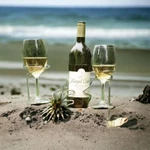 Sorbus 3-PIECE Wine Stakes Picnic Set Glass & Bottle Holders Outdoor Metal Nib. Fixed Price $26.00.