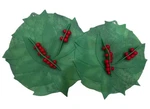Charles Viancin Winterberry Set Silicone Lid 10 11 Green Red. Fixed Price $18.99.