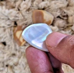 Set Of 6 Rare Unique Golden Abalone Shell Guitar Picks Plectrums Perfect Gift. Fixed Price $34.65.