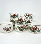 Villeroy & Boch Botanica Oversized Cup Saucer Set Lot 8 Porcelain Primula Euc. Fixed Price $480.00.