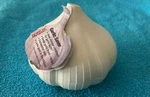 New Hutzler Garlic Saver Keeper Storage Container W/ Tag Instuctions. Fixed Price $6.99.