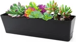 Greaner Herb Window Boxes 1PCS Inch, Black 1PACK/16X3.8IN,. Fixed Price $23.23.