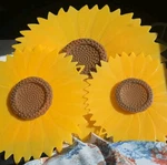 Charles Viancin Sunflower Silicone Lids Food Storage & Cooking - 6 , 8 12. Fixed Price $26.00.