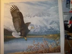 Charles Frace "wings Over America" Eagle, Le# 3803/5500 1991 New Folder Coa. Fixed Price $33.00.