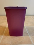Tupperware Purple Rectangular Freezer Container 313-17 With Lid 310K-41. Fixed Price $10.00.