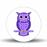 Pop Art Owl 17.75" Glass Lazy-susan Turntable. Fixed Price $79.99.