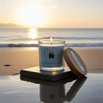 Aydens Candles - Sea Stone Scented #316. Fixed Price $8.00.
