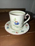 Villeroy & Boch Porcelain Coffee Cup And Saucer. Fixed Price $15.00.