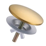 Aleasha Kitchen Sink Hole Cover, Faucet For Brushed Gold. Fixed Price $24.64.