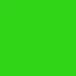 Solid Color Neon Brights Green Vinyl Contact Paper Drawer Liner Peel & Stick 4FT. Fixed Price $12.79.