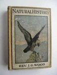 Illustrated Natural History Rev. J. G. Wood Hc Circa 1900 Color Plates - 7. Fixed Price $40.00.