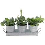 Walford Home Galvanized Metal Plant Pot & Tray Set Farmhouse Rustic Decor. Fixed Price $12.00.