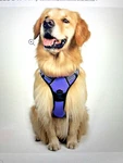 Harness Rabbitgoo Purple, 2 Leash Clips No-pull Reflective Vest For Med Dogs. Fixed Price $17.95.