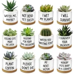Rojuna 12 Pcs Funny Succulent Pots With Bamboo Tray White Ceramic Aloe Cactus Pl. Fixed Price $76.42.
