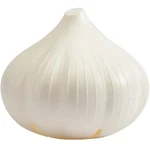 Hutzler Garlic Saver. Fixed Price $12.95.