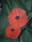 Charles Viancin Silicone Lids 2 Pc Red Poppy 11" And 9" Cooking Kitchen Gourmet. Fixed Price $24.99.