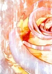Close Up Rose Petals Premium Poster Film Print High Quality Thick Paper. Fixed Price $8.57.
