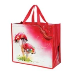 Color Splash 6012375 Mushrooms Reusable Shopper Bag, Izzy & Oliver/connie Haley. Fixed Price $12.00.