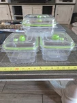 Foodsaver Vacuum Sealed Fresh Containers Set: 3 Cup And 2 - 5 With Lids. Fixed Price $45.00.