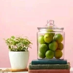 Anchor Hocking 2 Gallon Clear Glass Apothecary Jar Canister W/lid. Fixed Price $67.84.