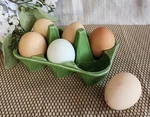 Anthropologie Biscuit Ceramic 6-CUP Egg Crate Green Farmhouse Holder. Fixed Price $14.99.