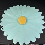 Charles Viancin Daisy Lid 11" (aqua). Fixed Price $19.90.