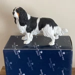 Border Fine Arts Cavalier King Charles Spaniel A1159 Boxed Dogs & Pups Galore. Fixed Price $33.62.