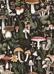 Adhesive Shelf Liner,boho Mushroom Contact Paper For Cabinets,vinyl Film Deco.... Fixed Price $25.04.