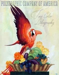 12864.WALL Decor Poster.interior.vintage Polygraphic Company Parrot Fruit Bowl. Fixed Price $30.00.