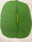 Oversize Charles Viacin Green Banana Leaf Silicone Food Cover. Fixed Price $18.95.