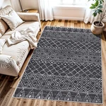 Byyvoo Washable Area Rug 3X4 Moroccan Non-slip Living Bedroom Dining Entryw. Fixed Price $52.78.