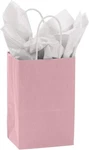 Paper Shopping Bags 100 Light Pink Retail Merchandise (rose) 5 " X 3 8. Fixed Price $59.99.