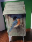 Marjolein Bastin Hallmark's Nature's Sketchbook Birdhouse W/12 Cards. Fixed Price $15.00.