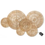Chi An Home Wicker Jute Wall Decor Baskets Set Of 6. Fixed Price $100.00.