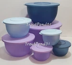 Tupperware Impressions Mega Set 1/2C 5C 10C 18C 32C Purple Blue. Fixed Price $109.99.