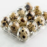 Japchet 200 Pack 12 Grid Quail Egg Cartons, Reusable Cheap .... Fixed Price $47.69.