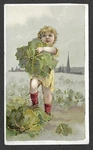 Victorian Trading Card - Arbuckle Coffee "cabbage Recipe" (3R1). Fixed Price $8.00.