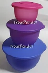 Tupperware Impressions Set 1/2C 5C 10C Sm Serving Blue Purple Pink. Fixed Price $39.99.