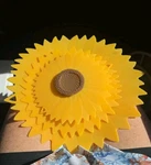 Charles Viancin Sunflower Silicone Lids Food Storage & Cooking - 6 , 8 12. Fixed Price $38.00.