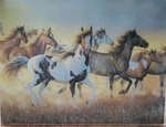 Rivers Edge Tempered Glass Cutting Board, Wild Horses, New, Colorful, Western.. Fixed Price $15.99.