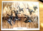 Ducks Unlimited Twist Turn Teal Print By Richard Clifton 8.5X11 Hunting. Fixed Price $6.99.