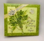 Lang Recipe Card Album Binder 'seeds Of Friendship' Art By Jane Shasky New. Fixed Price $19.99.