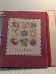 Seasons Recipe Card Keeper Divider Tabs Organizer Binder Book Fruit/red-new. Fixed Price $13.99.