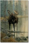 Wgi Gallery WA-QWM-1624 Quiet Water Moose Wall Art 16" X 24". Fixed Price $89.99.